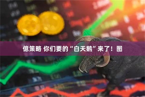 億策略 你们要的“白天鹅”来了！图