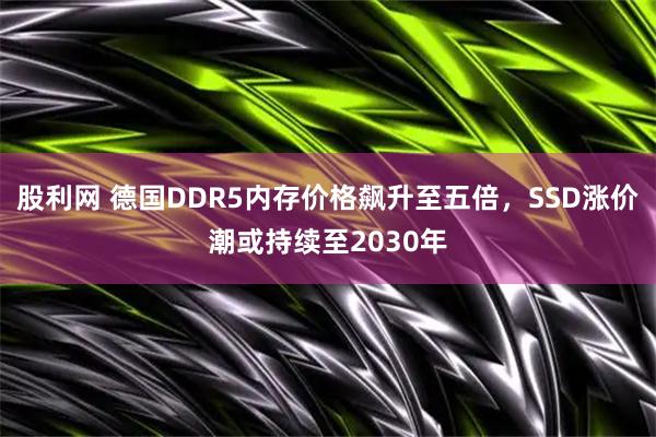 股利网 德国DDR5内存价格飙升至五倍，SSD涨价潮或持续至2030年